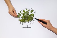 Biodiversité et gestion des ressources